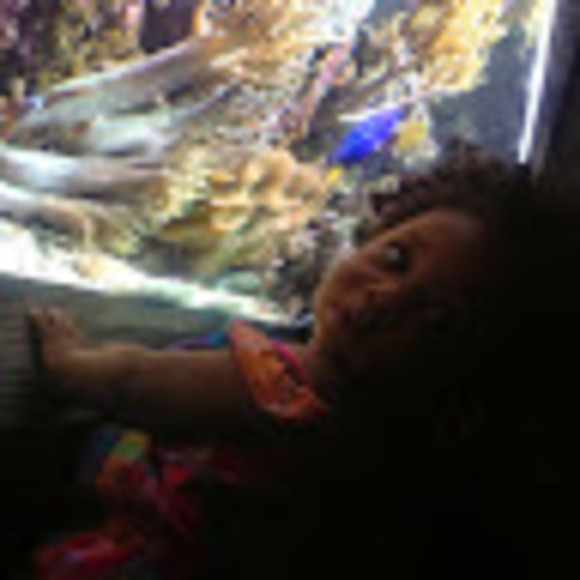 Meet your Posher, Cinee - Picture 1 of 1